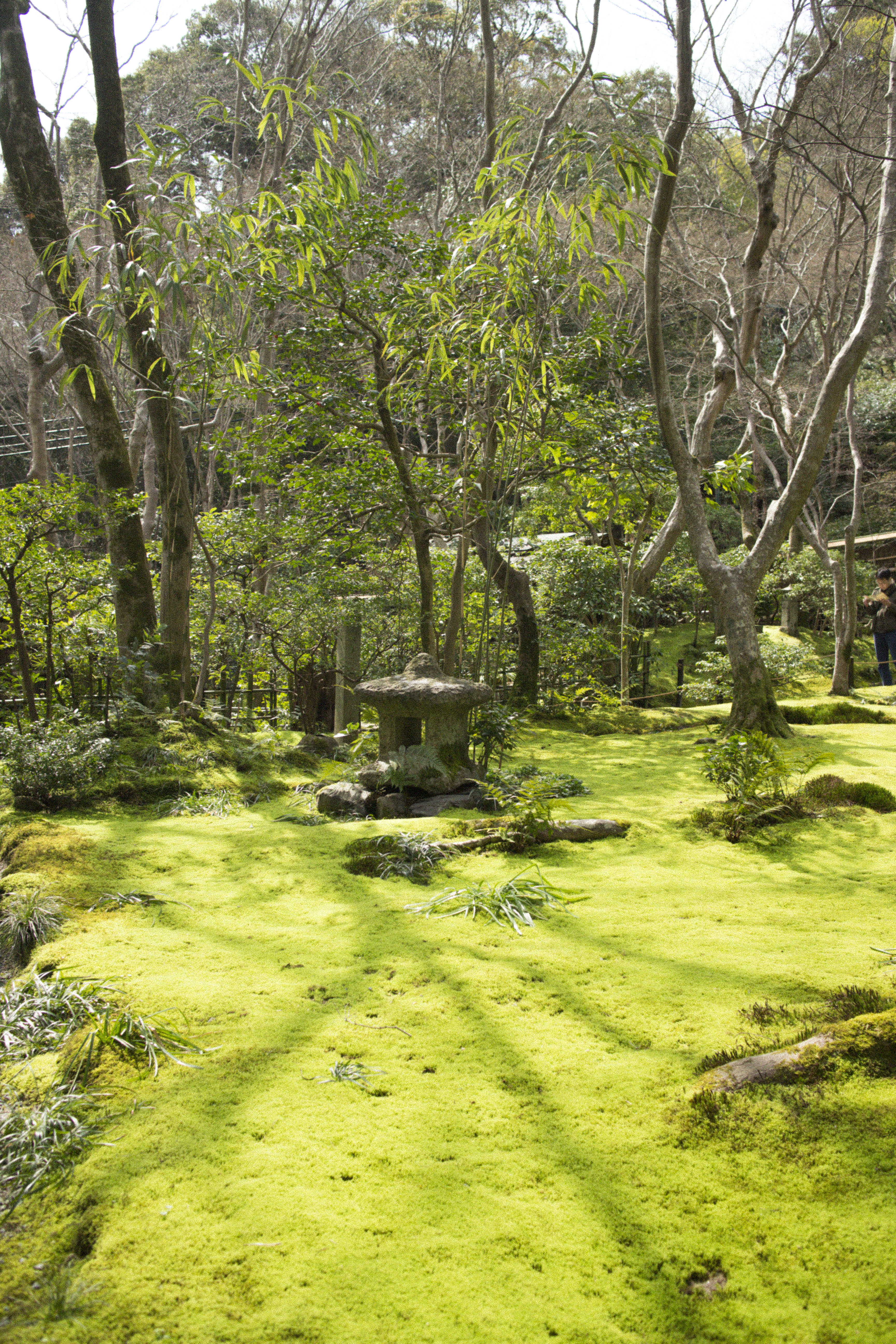 I heart Alice Travel Diary: Giou-Ji moss garden in Kyoto / Japan